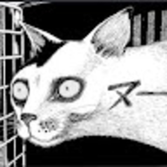 Meet your Posher, Jessica - Picture 1 of 1